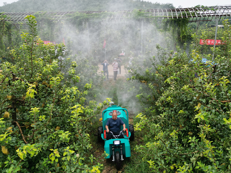 自走式風(fēng)送果園打藥機(jī)果樹植保作業(yè)